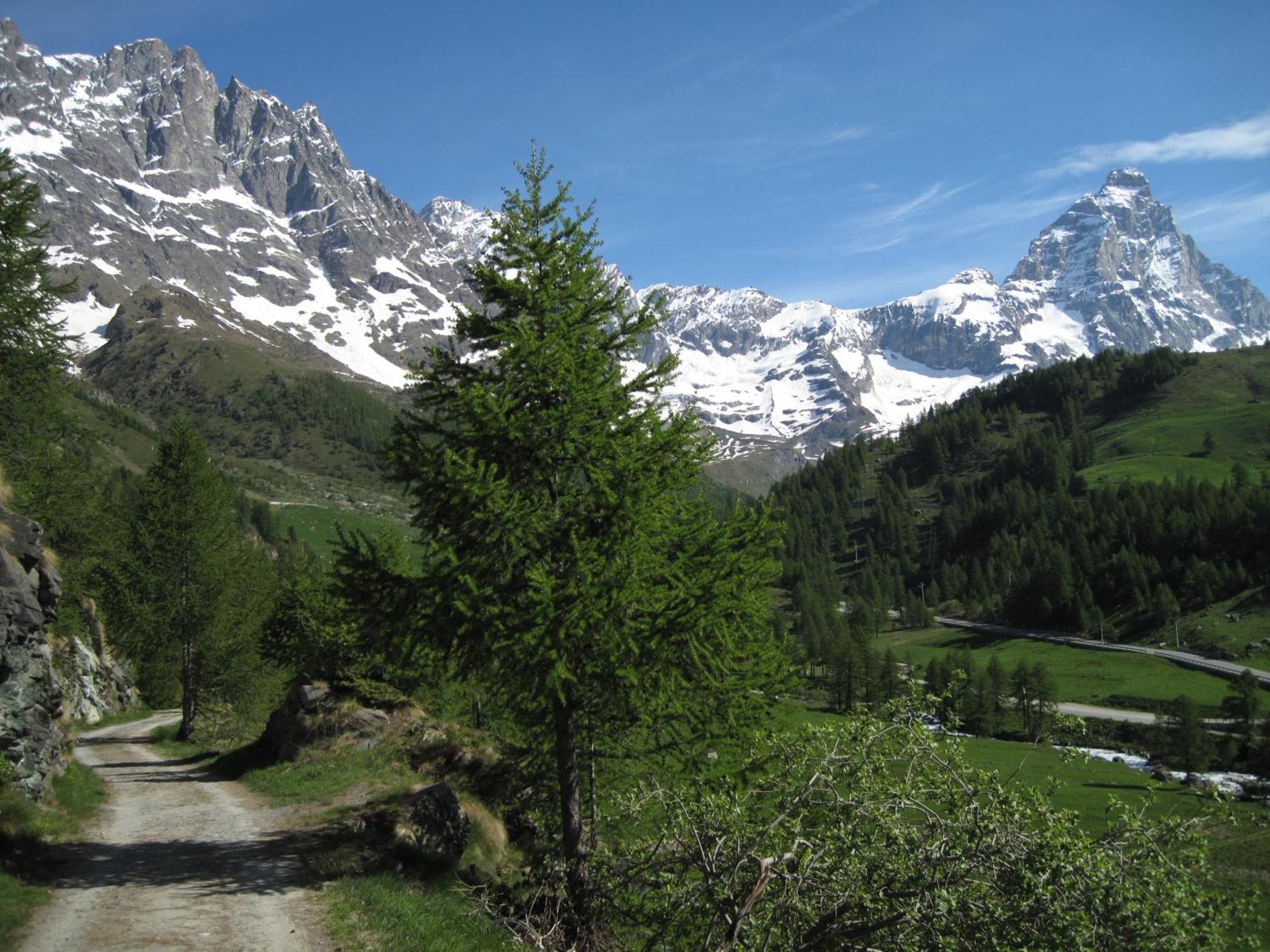 Hotel Meuble Meridiana Valtournenche Zewnętrze zdjęcie
